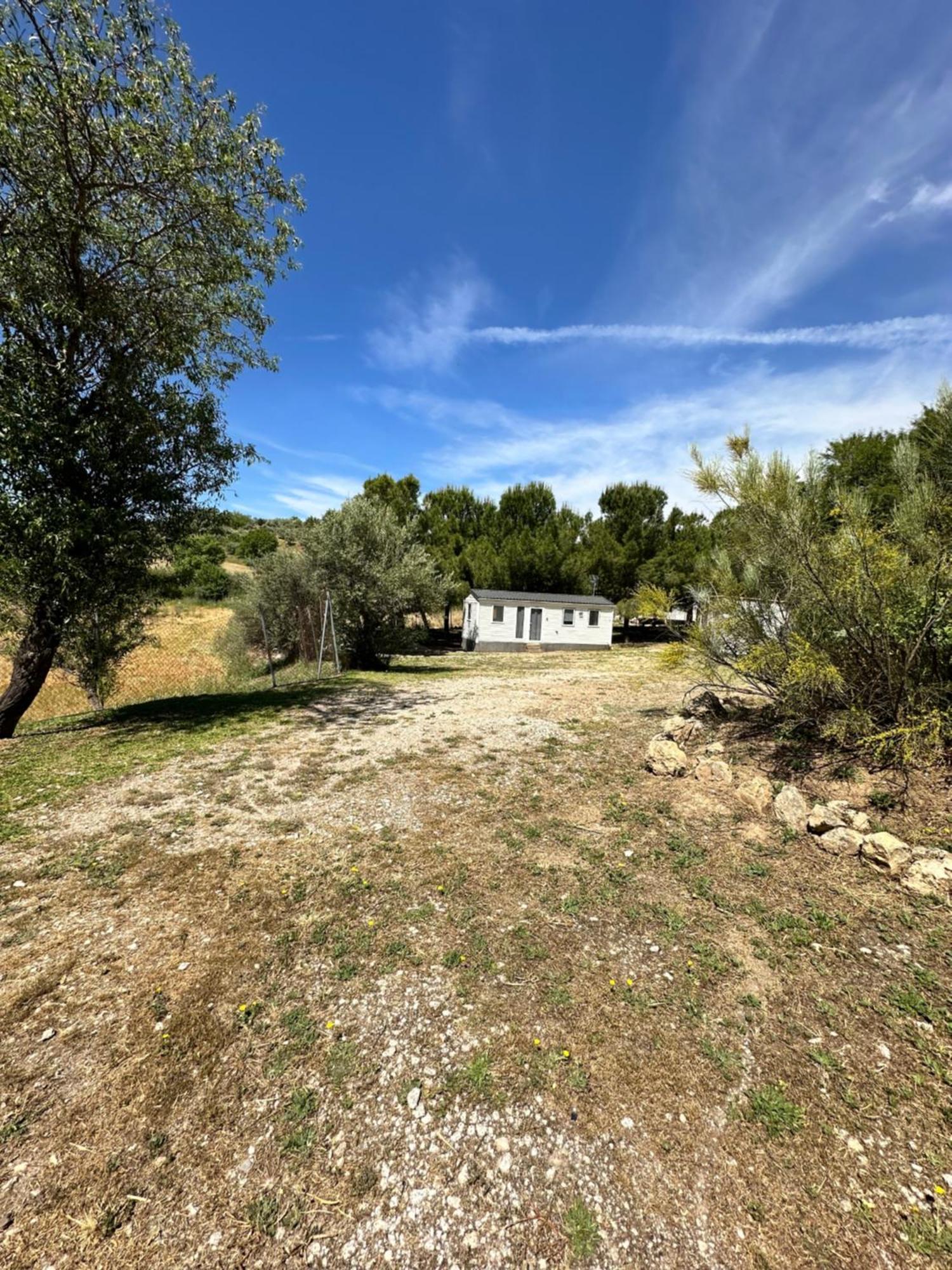 Bungalow Bambolera Torrelaguna Eksteriør bilde