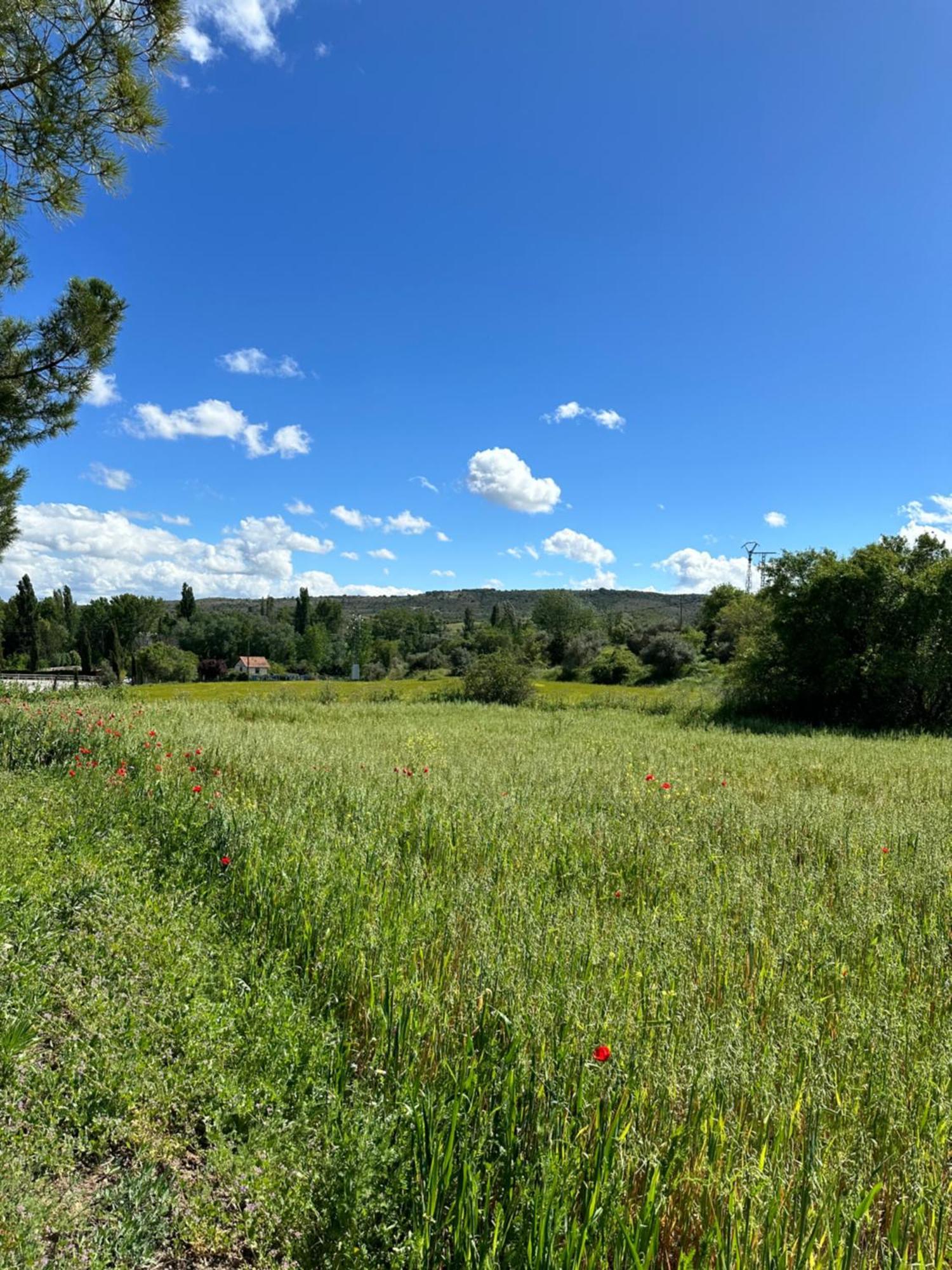 Bungalow Bambolera Torrelaguna Eksteriør bilde