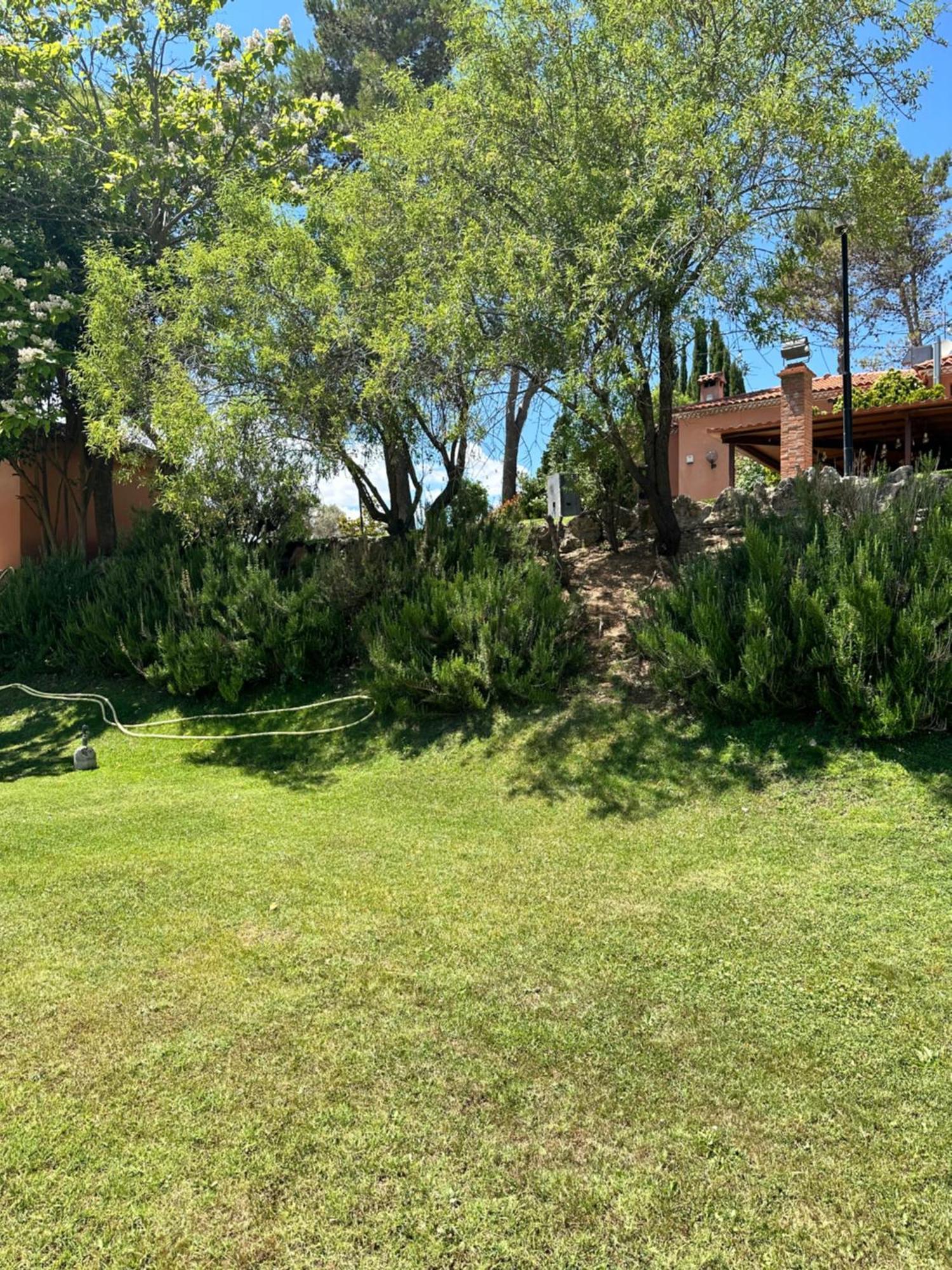 Bungalow Bambolera Torrelaguna Eksteriør bilde